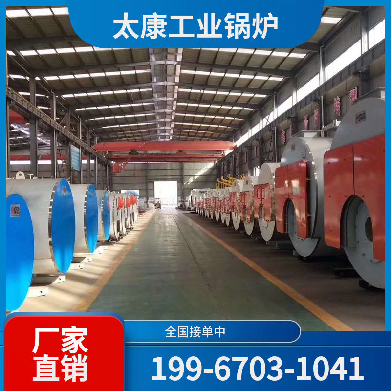 六盘水燃煤导热油锅炉