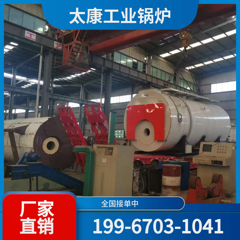 六盘水链条锅炉
